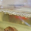 (주)백합사 이미지