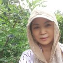 은평-024 이미지