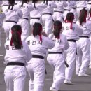 KOREA태권도 이미지