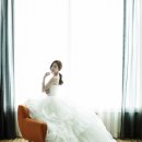 비바체(Vivace) 이미지