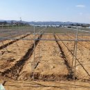 용성목장 이미지