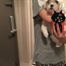 파이리코 | 2月記3ㅣ먹방하고 차 마시고 다회하고 금강주 마시고 류진라멘, 선물도 받고 팬분 만난?일상.