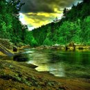 초록풍경 이미지