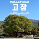 운곡 | [고창여행] 전봉준장군생가터 &amp; 고창고인돌유적 &amp; 고창운곡남사르습지생태탐방코스!(운동후기)