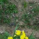 옥주농장 이미지