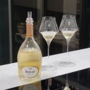 영빈통상 | 샴페인 루이나르 블랑 드 블랑 브뤼(Champagne Ruinart Blanc de Blanc Brut) NV