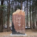 남해편백자연휴양림 이미지