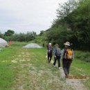 진중2리 이미지