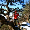 어답산농장 이미지