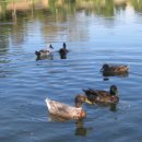 참어울림 이미지