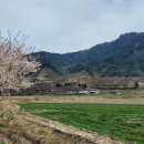 자연애흑염소팜 이미지