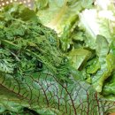 원앙농장 이미지