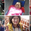 천안죽전원 이미지