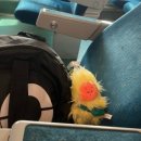 1박2일 위 | 부산 굿올데이즈호텔 1박2일 내돈내산 후기🤍🌊