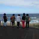 바다정원 이미지