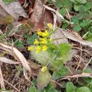 흑룡한의원 이미지