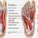 시티짐 군자 이미지