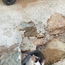 벙크