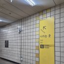 공덕역 6번 출구 뒤 | 웨딩 후 방치된 머릿결, 이가자헤어비스 공덕역점 나노힐 클리닉 후기