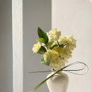 방배천로 이미지