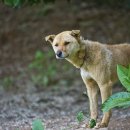 금골농장 이미지