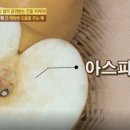 먹어보고 이미지