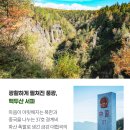 퓨어코스 이미지