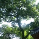 남사예담촌마을 이미지