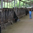 석현목장 이미지