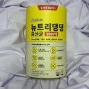댕댕케어 | [강아지 유산균] 뉴트리댕댕 유산균 - 장 면역 집중케어를 위한 영양제 후기