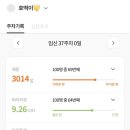 검사울 네이버블로그