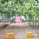 두리농장 이미지