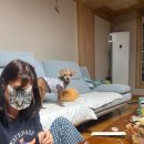 조조돈까스 | 영화나볼래 조조~