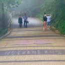 돌산산장 | [남해여행] 8월 뜨거운 여름 부모님과 함께한 남해 여행기 보리암부터 금산 산장까지 솔직후기🌿