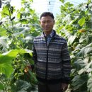 주현농장 이미지