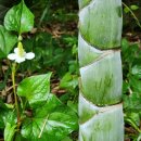 금밭농장 이미지