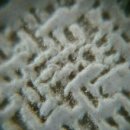 워시몬 | 내돈내산 구미 입주청소 새집증후군 이루다클린워시 수성점 솔직 후기