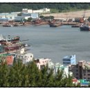 아미산자생식물원 이미지