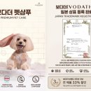 주식회사 보다 디지털타임스