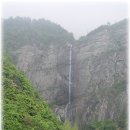 동산양계