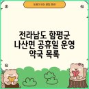 함평약국 | 전라남도 함평군 나산면 공휴일 운영 약국 목록