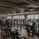 버클다운짐 탄현점 이미지