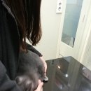 푸른종합동물병원 이미지