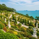 (주)웰리브 거제대우병원점 | 거제 한달살기 여행 시 오션뷰 숙소 단기임대 구하는 방법