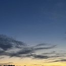 보림제다 이미지