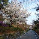 식구디자인