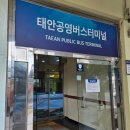 버스터미널 공영주차장 | 👨‍👩‍👧‍👦삼남매 아빠의 태안 도착기🚌 태안공영버스터미널 꿀팁🍯 주차장이 무료라고⁉️