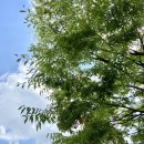 경기대학교소성박물관 이미지