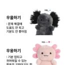 사주명리학(초급/저녁) | [8월 일상] 남한산성 나들이, 발레, 사주, 빵 푸파, 본업 일상