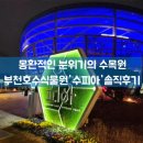 수피아조명 | [경기도부천] 몽환적인 분위기의 부천호수식물원 '수피아' 야간개장 후기